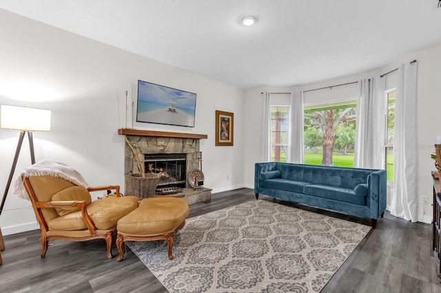 10901 Island Grove Rd, Clermont, FL 34711 - living room with wood finished floors and a fireplace