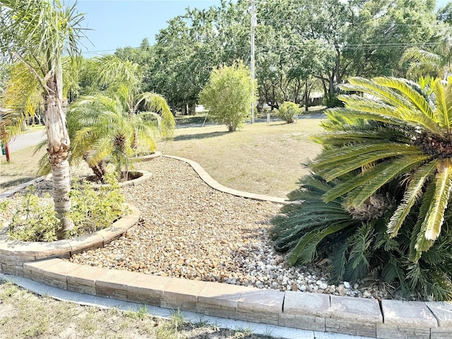 view of home's community