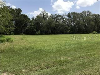 NE 36th St, Oxford, FL 34484 - photo 2