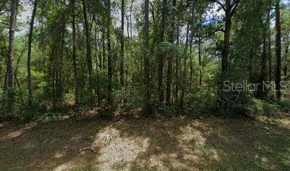 9238 N Athenia Dr, Citrus Springs, FL 34434 - photo 10