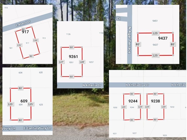 9238 N Athenia Dr, Citrus Springs, FL 34434 - photo 1