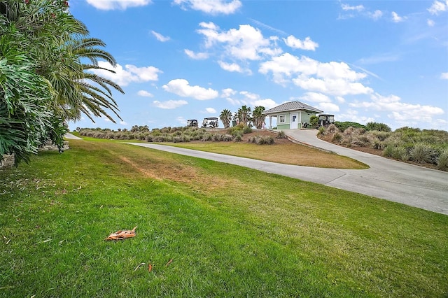 view of community with a yard
