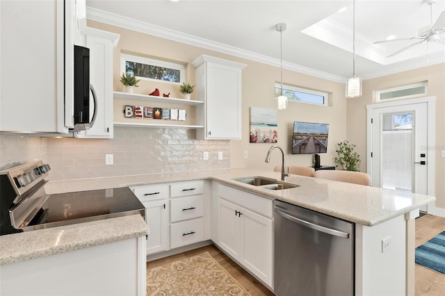 12129 Grand Oak Ln, Oxford, FL 34484 - kitchen with a peninsula, light wood-style flooring, a sink, appliances with stainless steel finishes, and ornamental molding
