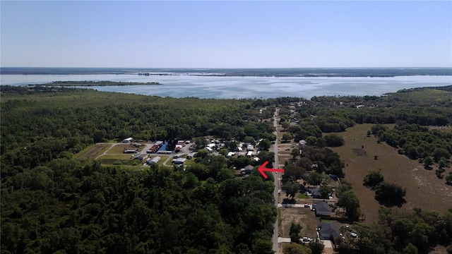 bird's eye view with a water view and a forest view