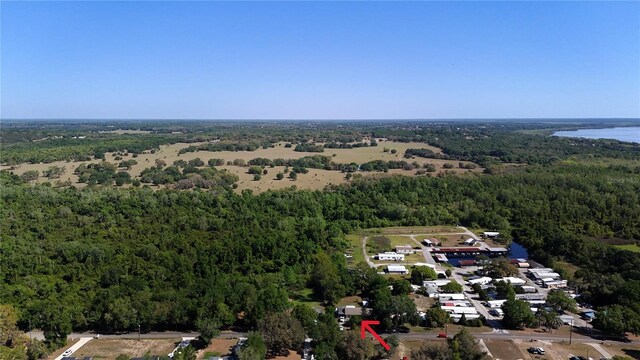 bird's eye view with a wooded view and a water view