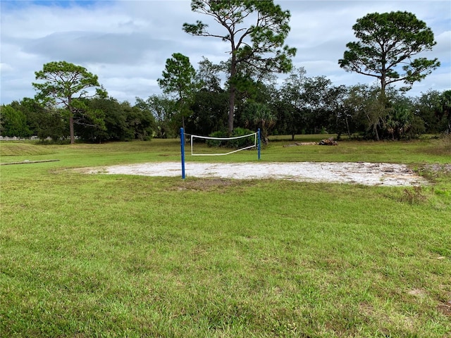30554 Quince Ave, Eustis, FL 32736 - view of home's community with volleyball court and a yard