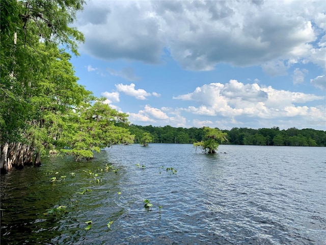 30554 Quince Ave, Eustis, FL 32736 - water view featuring a forest