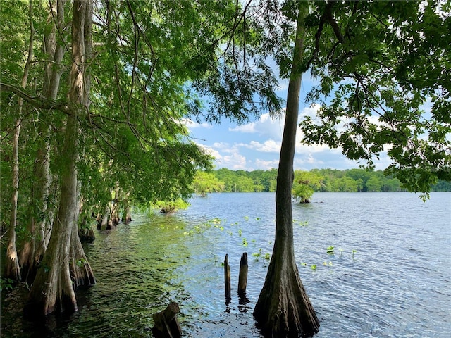 30554 Quince Ave, Eustis, FL 32736 - water view featuring a heavily wooded area