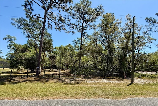30554 Quince Ave, Eustis, FL 32736 - view of green lawn