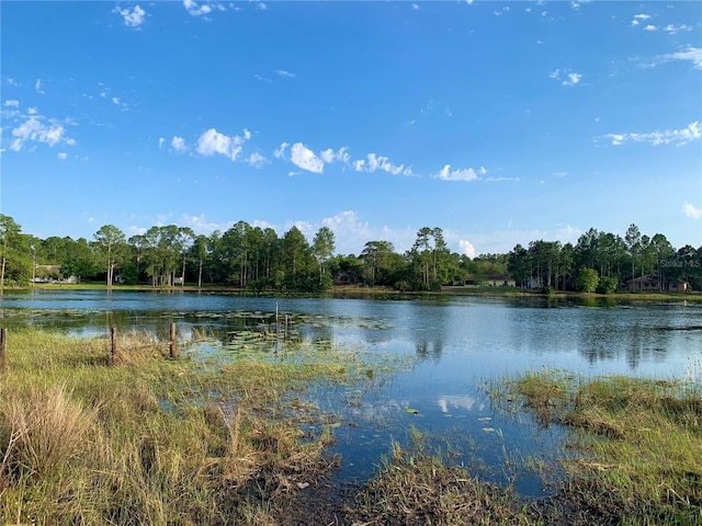 30554 Quince Ave, Eustis, FL 32736 - water view featuring a heavily wooded area