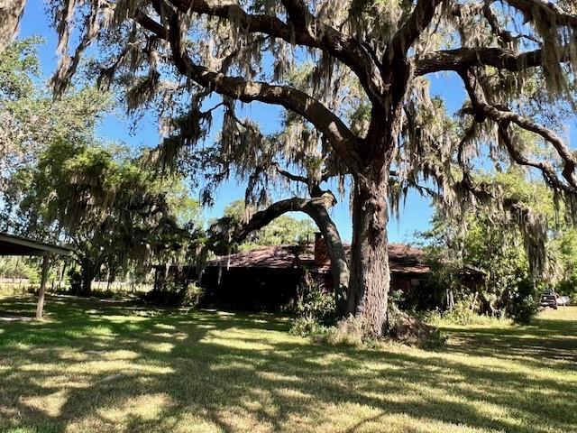 19726 Mccall Rd, Altoona, FL 32702 - photo 3