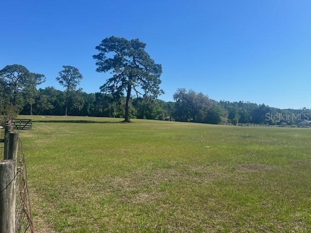 19726 Mccall Rd, Altoona, FL 32702 - photo 19