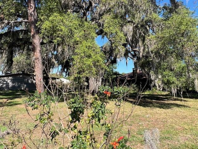 19726 Mccall Rd, Altoona, FL 32702 - photo 22