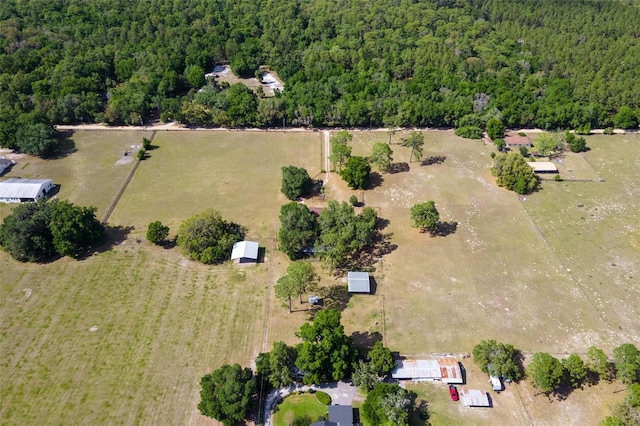19726 Mccall Rd, Altoona, FL 32702 - photo 45