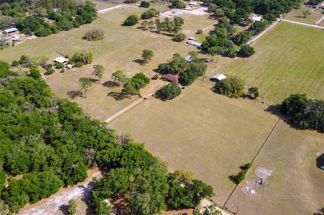19726 Mccall Rd, Altoona, FL 32702 - photo 48