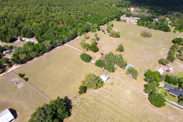 19726 Mccall Rd, Altoona, FL 32702 - photo 50