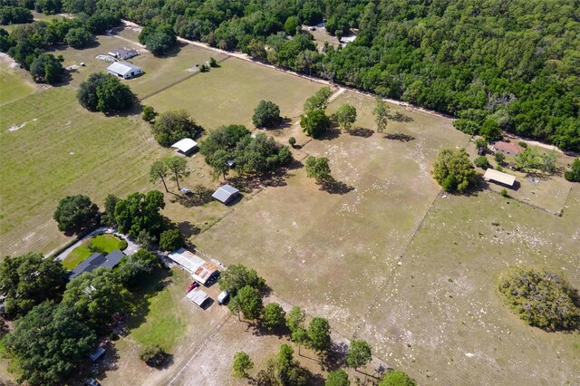 19726 Mccall Rd, Altoona, FL 32702 - photo 51