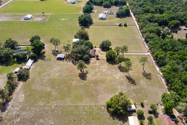 19726 Mccall Rd, Altoona, FL 32702 - photo 52