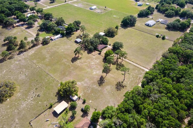 19726 Mccall Rd, Altoona, FL 32702 - photo 53