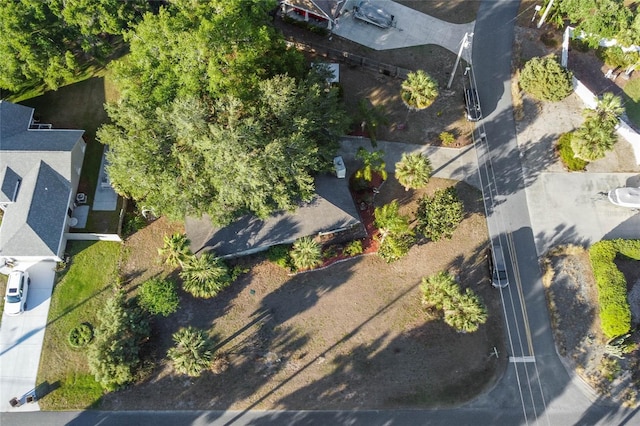 33801 Picciola Dr, Fruitland Park, FL 34731 - photo 5