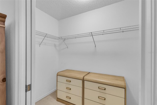 walk in closet featuring light carpet