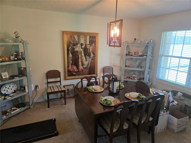 dining space featuring carpet floors and a textured ceiling