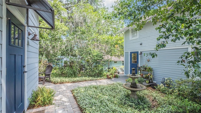 908 N Tremain St, Mount Dora, FL 32757 - view of yard