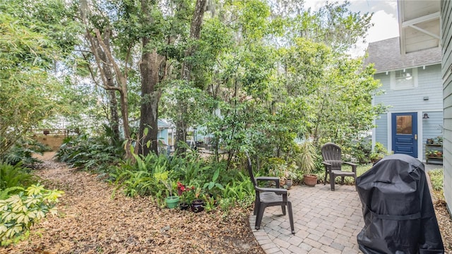 908 N Tremain St, Mount Dora, FL 32757 - view of patio / terrace featuring a grill