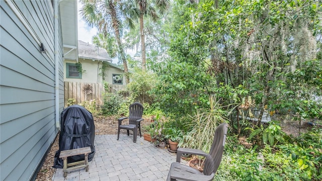 908 N Tremain St, Mount Dora, FL 32757 - view of patio / terrace with fence and area for grilling