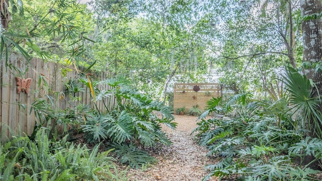 908 N Tremain St, Mount Dora, FL 32757 - view of local wilderness