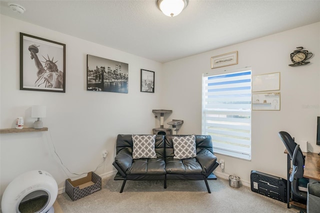 living area featuring carpet floors, baseboards, and a wealth of natural light