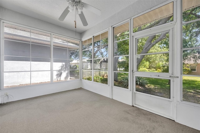 5614 King James Ave, Leesburg, FL 34748 - photo 32