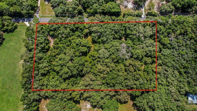 37215 Rolling Acres Rd, Lady Lake, FL 32159