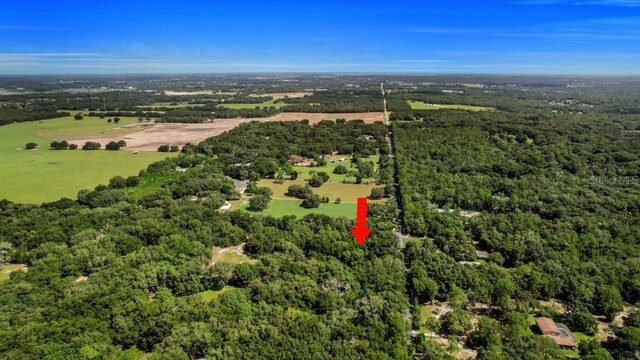 37215 Rolling Acres Rd, Lady Lake, FL 32159