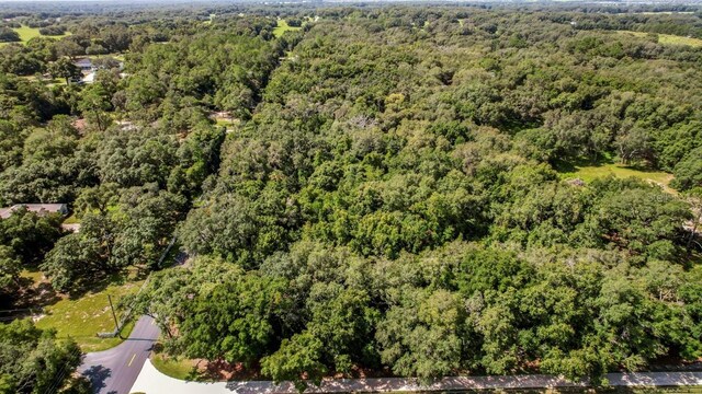 37215 Rolling Acres Rd, Lady Lake, FL 32159