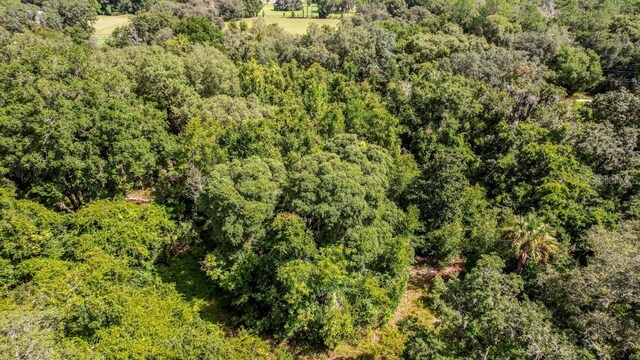 37215 Rolling Acres Rd, Lady Lake, FL 32159
