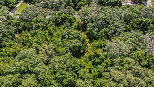 37215 Rolling Acres Rd, Lady Lake, FL 32159