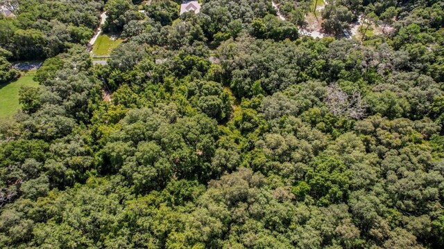 37215 Rolling Acres Rd, Lady Lake, FL 32159