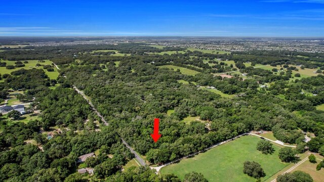 37215 Rolling Acres Rd, Lady Lake, FL 32159