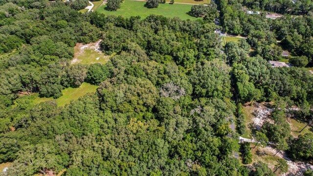 37215 Rolling Acres Rd, Lady Lake, FL 32159