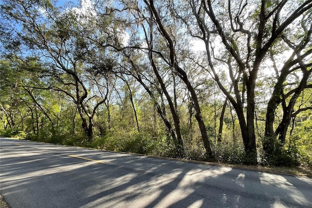 37215 Rolling Acres Rd, Lady Lake, FL 32159