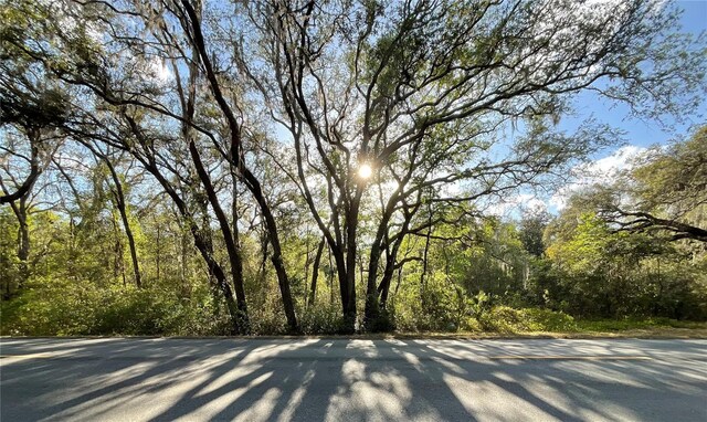37215 Rolling Acres Rd, Lady Lake, FL 32159