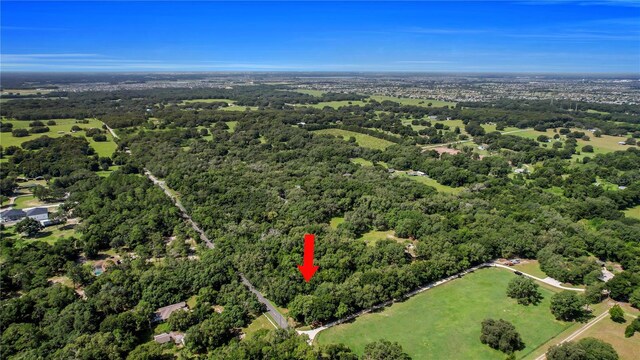 37215 Rolling Acres Rd, Lady Lake, FL 32159