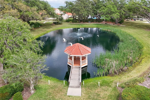 10683 SE 174th Loop, Summerfield, FL 34491 - photo 40