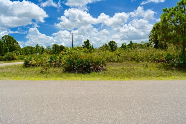 2922 Gene Ave N, Lehigh Acres, FL 33971 - photo 2