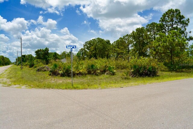 2922 Gene Ave N, Lehigh Acres, FL 33971 - photo 3