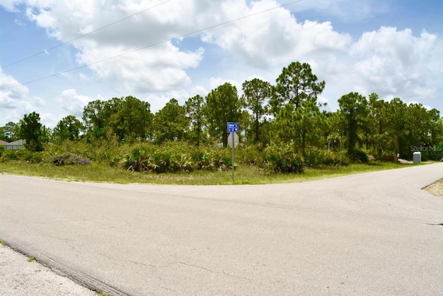 2922 Gene Ave N, Lehigh Acres, FL 33971 - photo 4