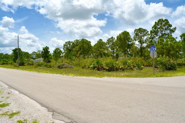 2922 Gene Ave N, Lehigh Acres, FL 33971 - photo 5