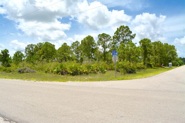 2922 Gene Ave N, Lehigh Acres, FL 33971 - photo 6