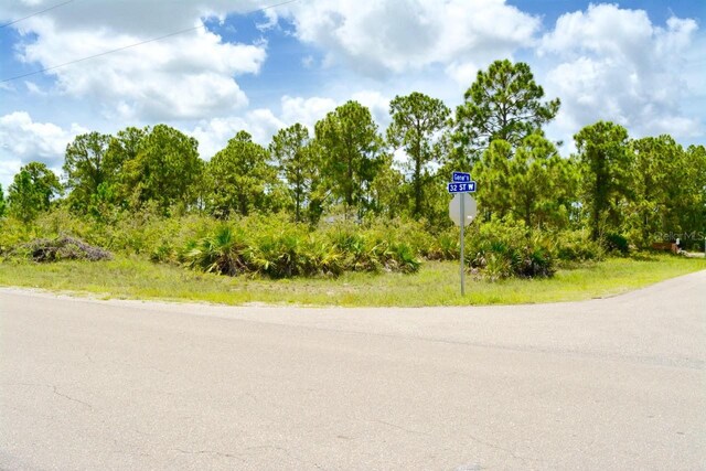 2922 Gene Ave N, Lehigh Acres, FL 33971 - photo 7